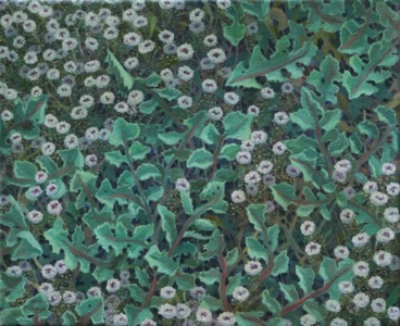 Bungendore - Oil on canvas 
25 x 30cm